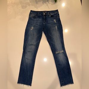 DL1061 Florence Jean